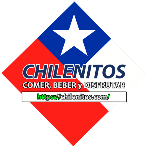 analisis-y-auditoria-web.ves.cl - chilenos - chilenitos